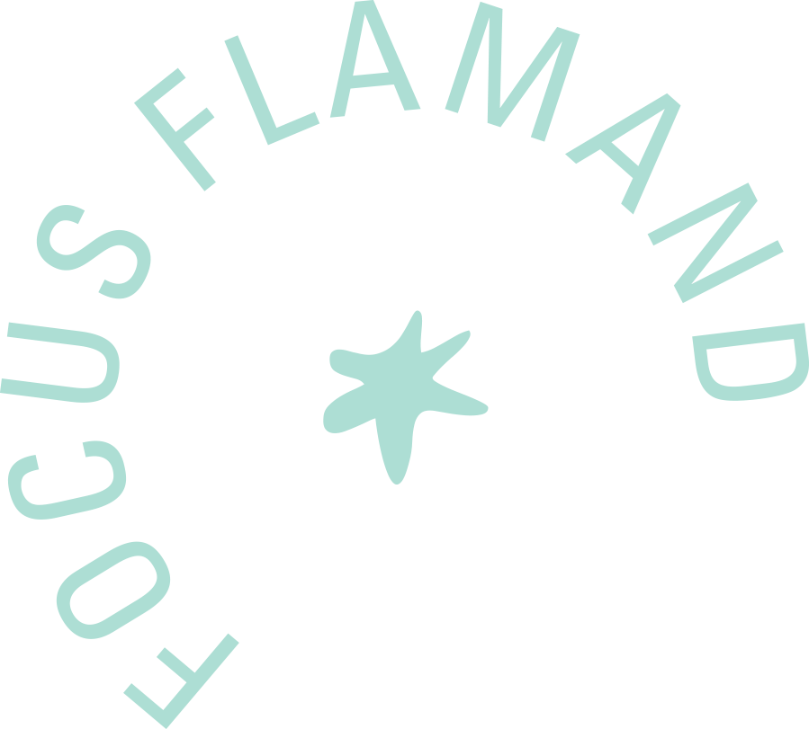 Focus Flamand