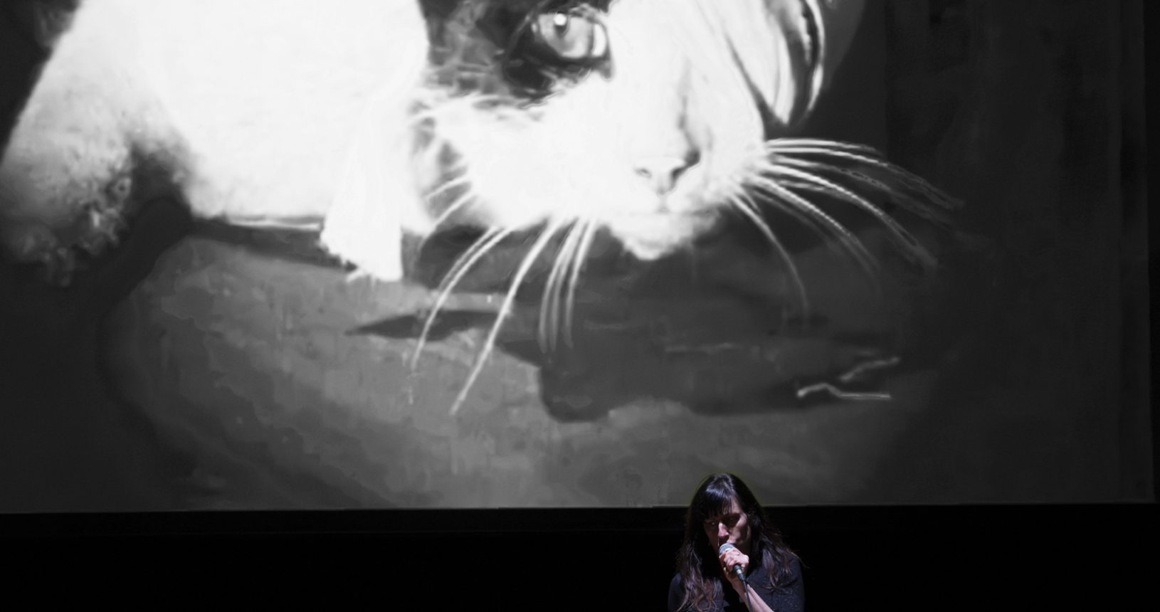 Bricolo - Compagnie Oh ! Oui…